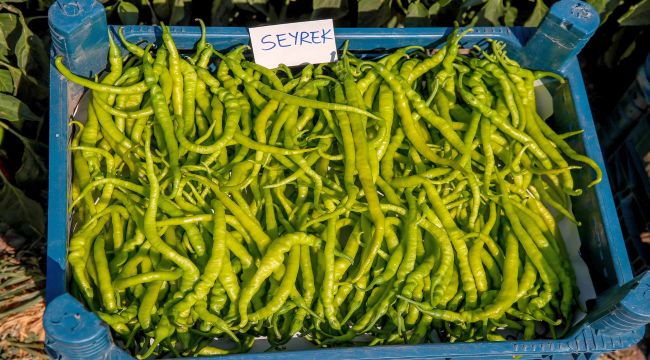 Menemen’de Tarla Günü etkinliği