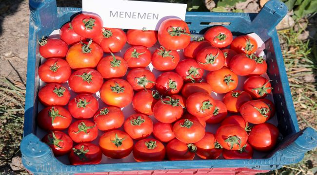 Menemen’de Tarla Günü etkinliği