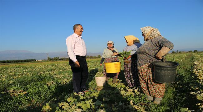 825 milyon liralık destek