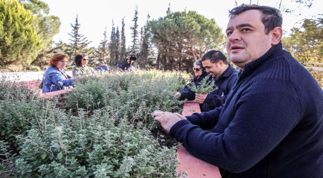 Kış sezonu hasadı başladı