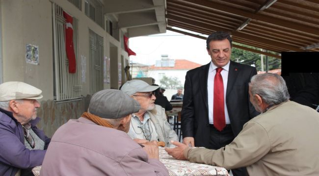 Süne'ye yoğun ilgi