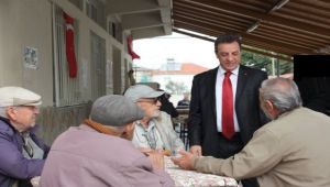 Süne'ye yoğun ilgi