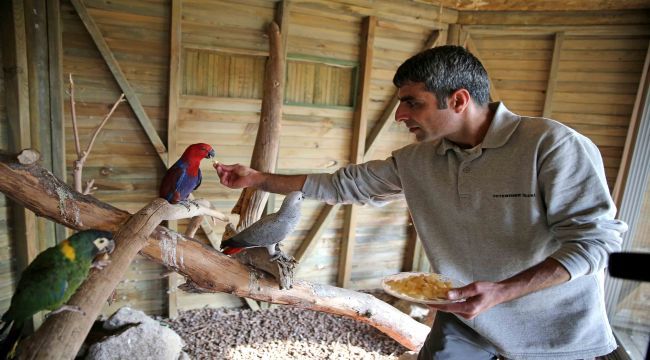 Papağanları Karşıyaka Belediyesi aldı 