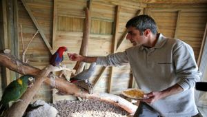 Papağanları Karşıyaka Belediyesi aldı 