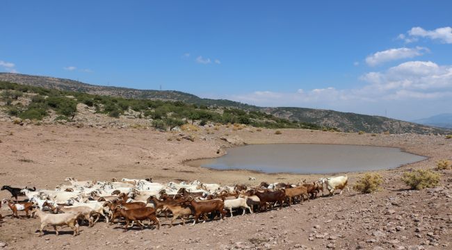 Büyükşehir'den “yaşam vahaları”