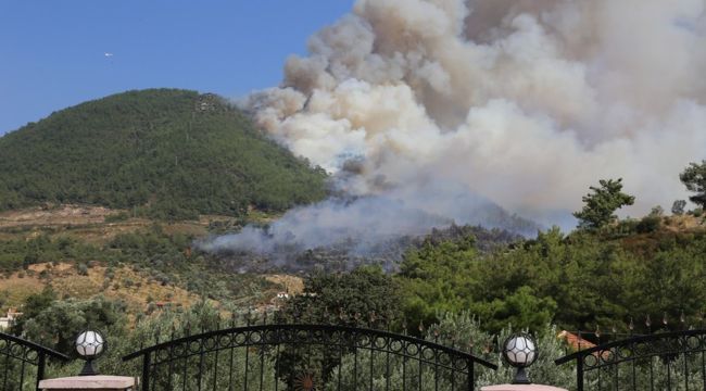 İzmir’in orman yangını karnesi