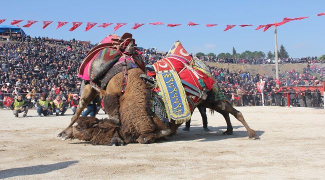 Festival sona erdi