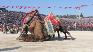 Festival sona erdi