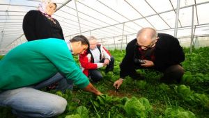 İBB’den organik tarıma destek