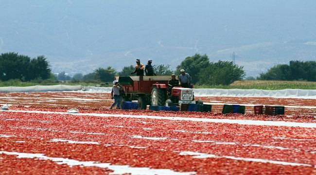 Bakırçay’a mercek altında