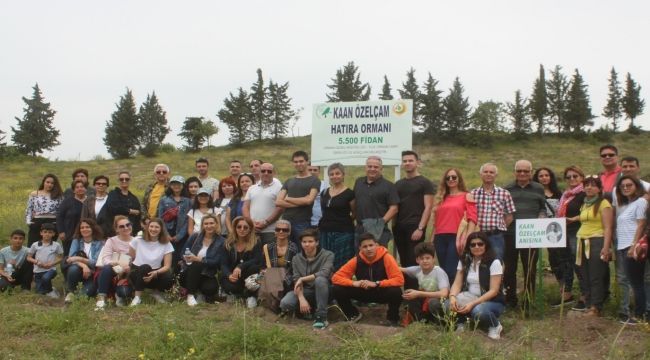 Milli Dansçı fidanlarda yaşayacak