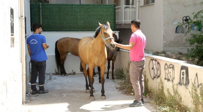 Karşıyaka Belediyesi operasyon düzenledi