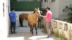 Karşıyaka Belediyesi operasyon düzenledi