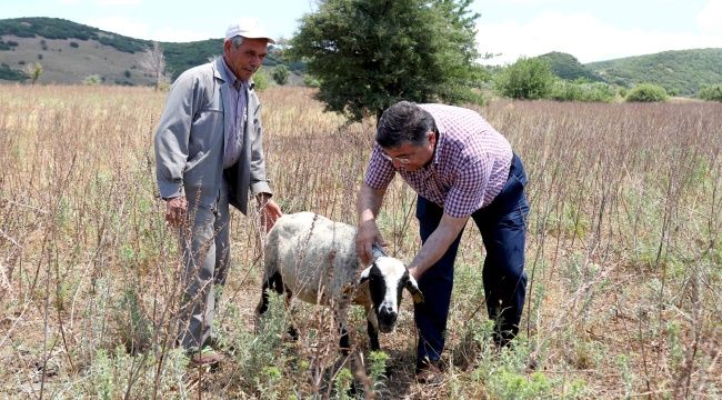 Sındır, veba salgınını Meclis gündemine taşıdı