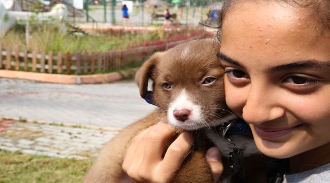 FestPati Buca ile hayvan haklarına dikkat çekilecek