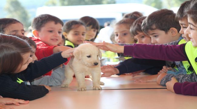 Hayvan hakları için Karabağlar'da kermes düzenlendi