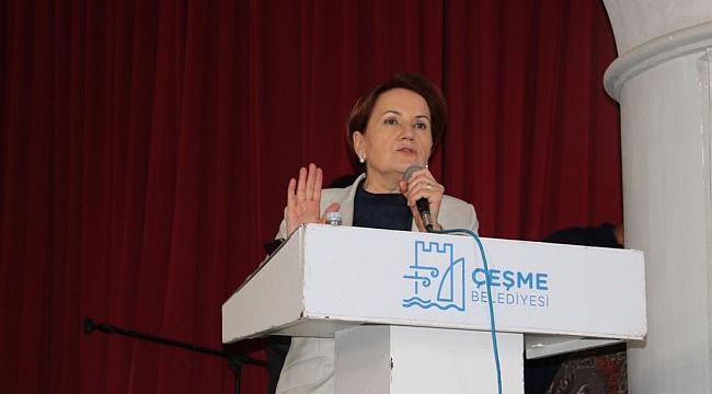 Akşener; “Çözüm Anadolu tohumunda”