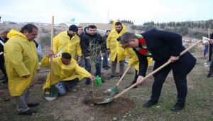 Karşıyaka yeşile bürünüyor!