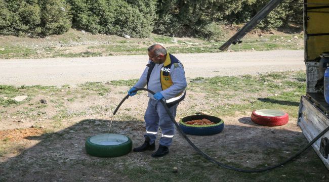 Buca Belediyesi’nden Mama Kabı Seferberliği