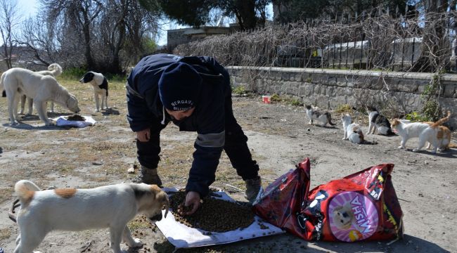 Bergama’da sokak hayvanlarına mama