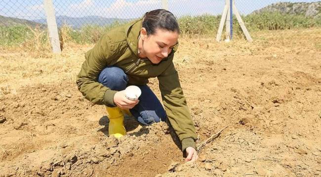 Efsane Efes Selçuk’a Geri Dönüyor