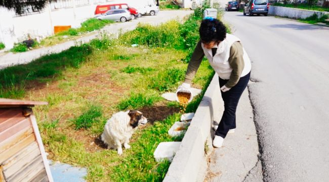 Güzelbahçe’de sevimli dostlara destek