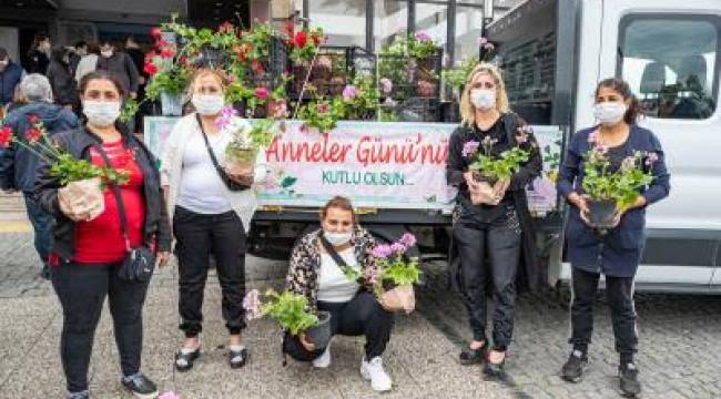 Büyükşehir annelere sardunya dağıtmaya başladı