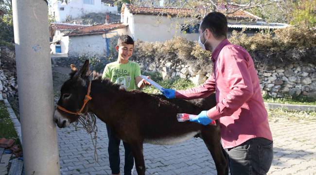 Yüzüncü yıl hediyeleri, yüzleri güldürdü