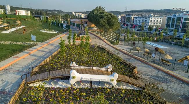 Buca Belediyesi 1 yılda 8 bin hayvana kucak açtı 