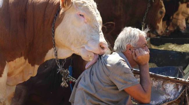 Bayraklı Belediyesi Kurban Bayramı’na hazır