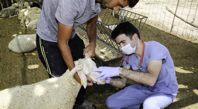 Buca’nın kurban pazarları denetlendi