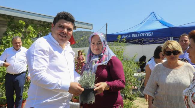 Doğancılar’da lavantalar hasada hazır 