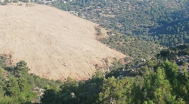 Karaburun ormanlarında GES katliamı!