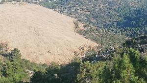 Karaburun ormanlarında GES katliamı!