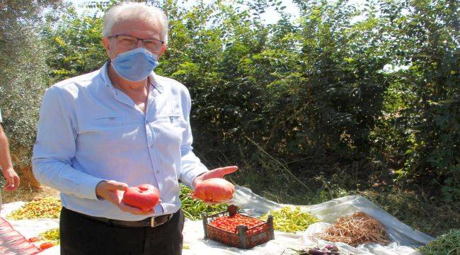 Ödemiş Belediyesi ata tohumlarına sahip çıkıyor