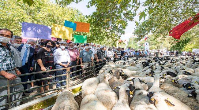 “Rehberim İzmir halkıdır”