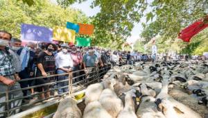 “Rehberim İzmir halkıdır”