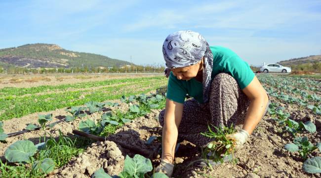 Aliağalı Kadınlardan Doğal Tarım Atağı