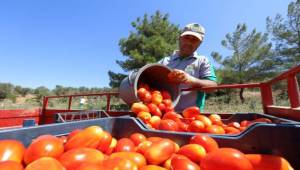 Buca’nın ürünleri 1.458 mutfağa bereket oldu