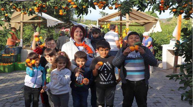 Büyükşehir sineği kovdu, mandalina değerlendi