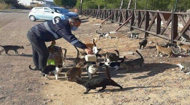 Pandemide Dostlar Unutulmadı