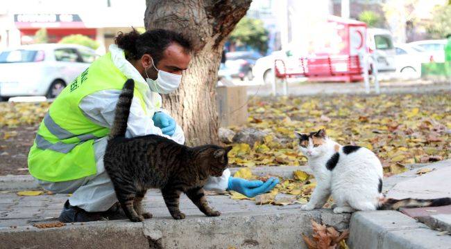 Bayraklı Belediyesi Can Dostları Unutmadı