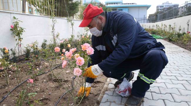 Karşıyaka’ya yeni gül bahçesi