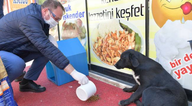 Çiğli Belediyesi Veterinerlik Hizmetlerinde Rekor Artış