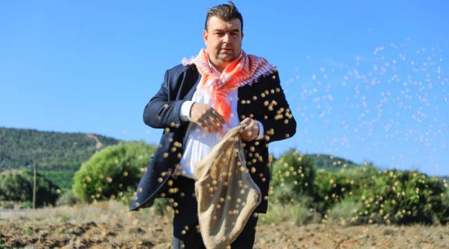 Atalık Karakılçık Buğday ekimi başladı