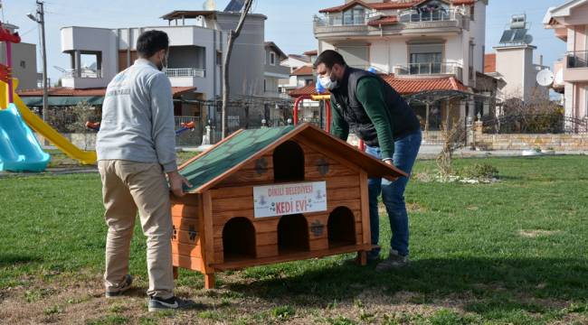 Can dostlarımızı kedi evleri ile buluşturuyoruz