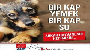 CHP’li Beko: Hayvan Hakları Yasası neden hala yasalaşmıyor?