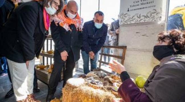 Ata tohumları takas şenlikleriyle yeşerecek