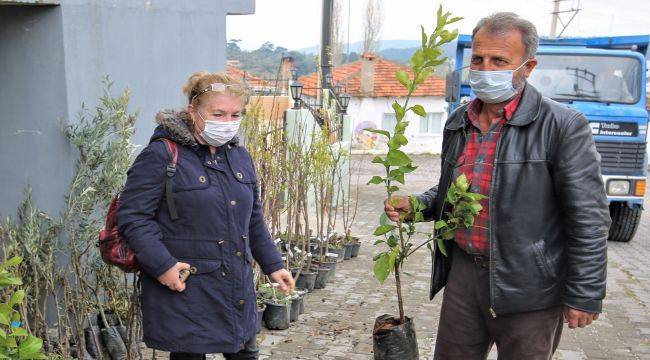 Buca’nın kırsal mahallelerine fidan desteği 