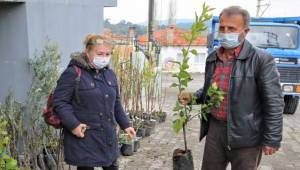 Buca’nın kırsal mahallelerine fidan desteği 